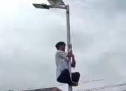 Demi Lihat Jokowi, Warga di Mamasa Rela Panjat Tiang Lampu Taman Kota