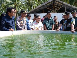 Kunjungi UPTD BBIP Poniang Majene, Pj Gubernur Janji Perkuat Perikanan Sulbar