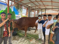 Sapi Kurban Milik Jokowi Tiba di Mateng, Harganya Capai Rp100 Juta