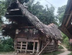 Kisah Pilu Pasutri di Desa Panura Mamasa, Tinggal Bertahun-tahun di Rumah Reyot Peninggalan Kakeknya