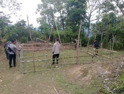 Niat Gerebek Judi Sabung Ayam di Tabang Barat, Polisi Hanya Jumpa Gelanggang Kosong