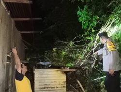 Hujan Lebat, Pohon Tumbang Rusak Rumah Milik Seorang Warga di Aralle Utara, Kapolsek Turun Tangan