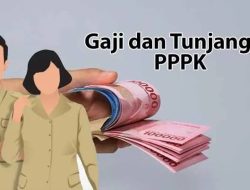Ini Respon Kadis Kesehatan Mamasa Soal Gaji PPPK yang Tak Dibayarkan