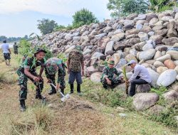 Koramil 1403-09/ Sabbang Lakukan Karya Bhakti Penanaman Ratusan Pohon di Tanggul Sungai Rongkong