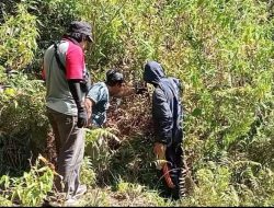 Pantau Burung Langka, Peneliti Asal Unsulbar Pasang Audiomoth di Taman Nasional Gandang Dewata