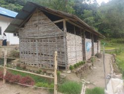 Miris! SMP Negeri di Buntumalangka Mamasa Bak Kandang Ayam