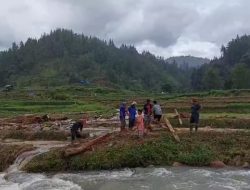Puluhan Hektar Sawah di Mamasa Diterjang Banjir, Petani Merugi