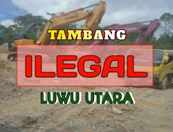 Tambang Ilegal Marak di Lutra, Ketua Kawasan Desak APH Bertindak Tegas