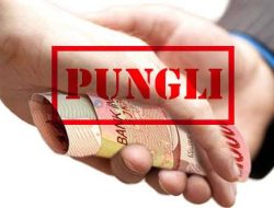 Koordinator P3K Lutra Diduga Lakukan Pungli di Kalangan P3K