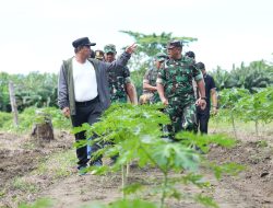 Bahtiar Baharuddin Tinjau Perkebunan di Beru-beru Kalukku: Ke Depan Jadi Tempat Edukasi Ketahanan Pangan