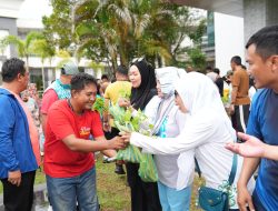 Senam Sehat Bersama, Petani di Mamuju Berbagi Bibit Cabe Gratis ke ASN