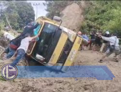 Longsor di Poros Tabone-Nosu Sebabkan Truk Muatan Sayur Terbalik, Aktivis Tuntut Perhatian Pemerintah