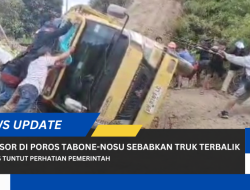 VIDEO: Longsor di Poros Tabone-Nosu Sebabkan Truk Muatan Sayur Terbalik, Aktivis Tuntut Perhatian Pemerintah