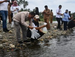Pemprov Sulbar Sebar 30 Ribu Benih Ikan Nila di Bendungan Banua Majene