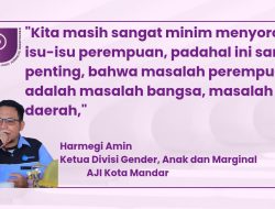 Divisi Gender AJI Mandar Ingatkan Jurnalis Peduli isu Perempuan di Momen Peringatan IWD