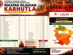 Karhutla di Mamasa Capai 31 Kejadian, Luas Lahan Terbakar 81,95 Hektare