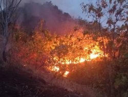 BPBD Catat 67 Kebakaran Terjadi di Mamuju Tengah, 35,05 Hektare Lahan Terdampak