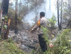 Lahan 2 Hektar Terbakar di Tawalian, Diduga Akibat Pembukaan Lahan Tanpa Pengawasan