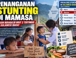 Angka Stunting di Mamasa Lampaui 4 Kabupaten, Pemda Diminta Beri Perhatian Serius