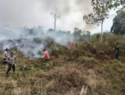 Karhutla di Sumarorong Hanguskan 5 Hektare Kebun Warga, Damkar Terkendala Akses