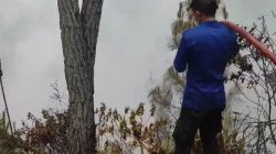 Asap Kebakaran Hutan Mengepul, Mamasa Tak Lagi Berselimut Awan
