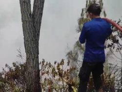 Asap Kebakaran Hutan Mengepul, Mamasa Tak Lagi Berselimut Awan