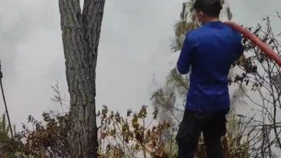 Asap Kebakaran Hutan Mengepul, Mamasa Tak Lagi Berselimut Awan
